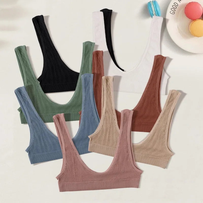 Mesh Performance Fitness Top Collection