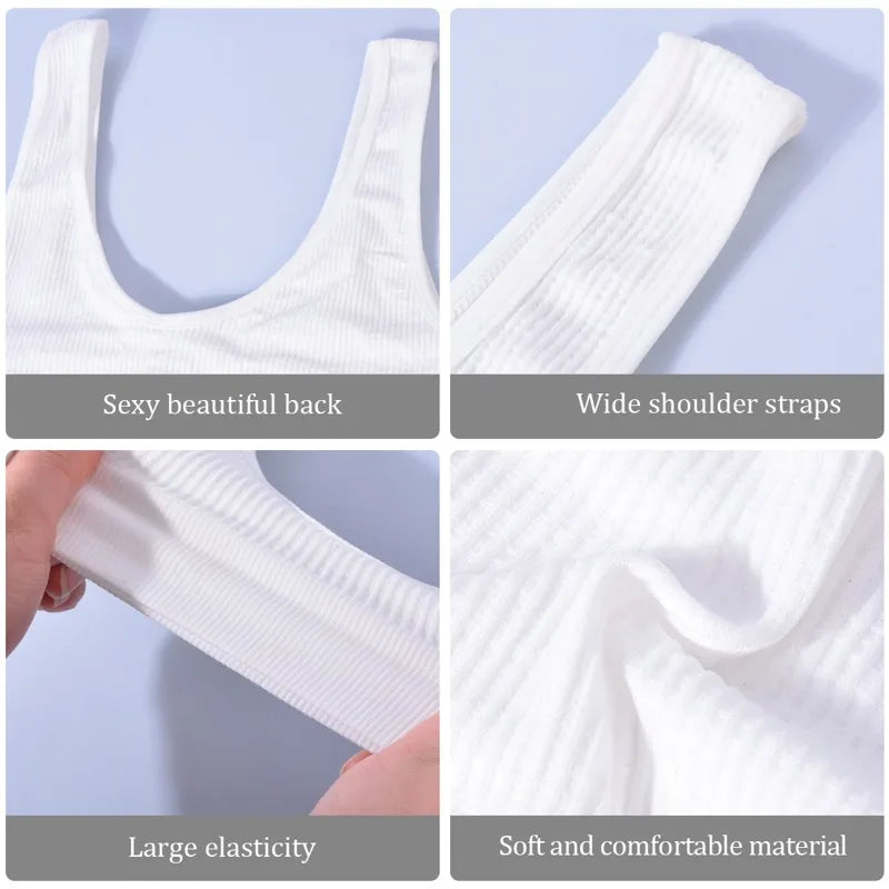 Mesh Performance Fitness Top Collection